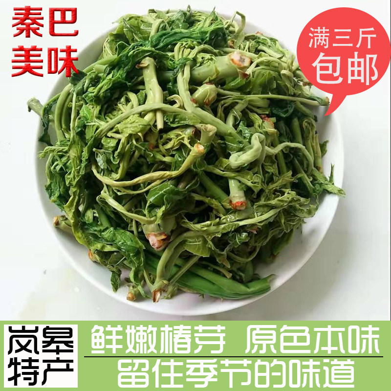 陕西安康岚皋特产香椿芽新鲜