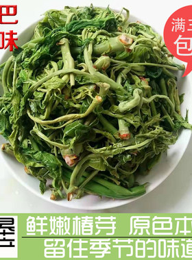 陕西安康岚皋特产香椿芽新鲜