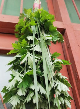 新鲜端午挂门艾草艾叶驱蚊
