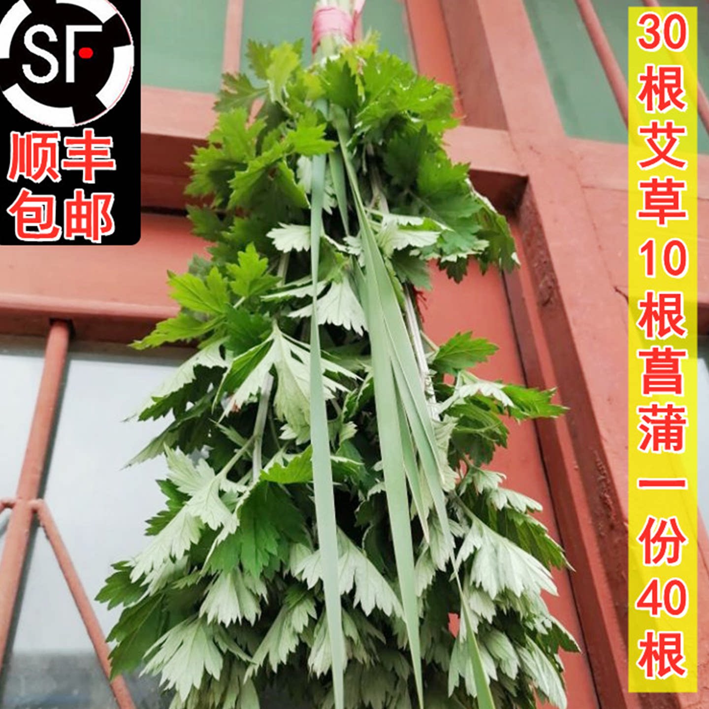 新鲜艾草整棵艾叶菖蒲清明节全株艾草叶长颗艾束端午挂门艾蒿香包