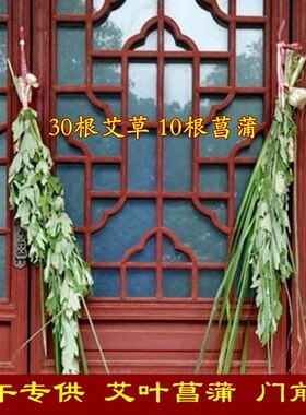 新鲜长款艾草艾叶端午挂门驱蚊