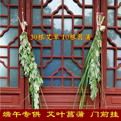 新鲜长款艾草艾叶端午挂门驱蚊