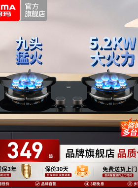 澳柯玛燃气灶5.2KW火力九腔猛火家用双灶台嵌两用一级能效3D309B