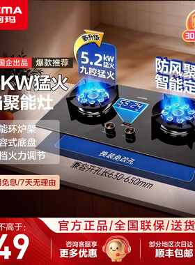 澳柯玛燃气灶5.2KW双边九腔猛火家用双灶台嵌两用一级能效3DF05B