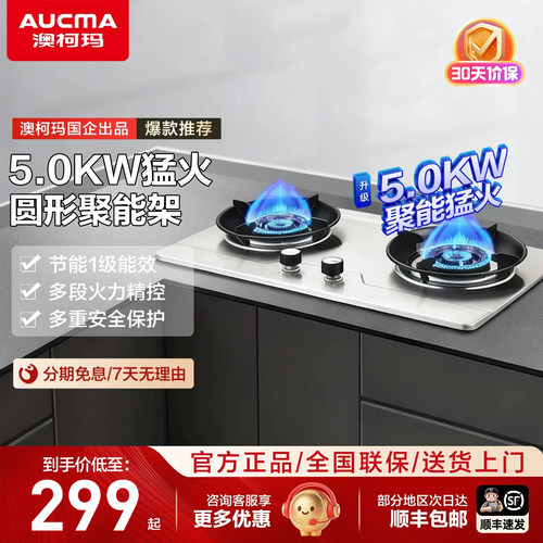 澳柯玛双灶燃气灶家用猛火灶