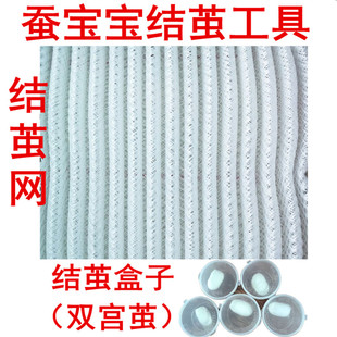 蚕宝宝结茧工具结茧盒子双宫茧蚕吐丝专用结茧网塑料网片大小可选
