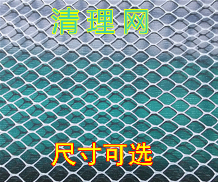 大蚕小蚕清理网学生养蚕工具桑叶