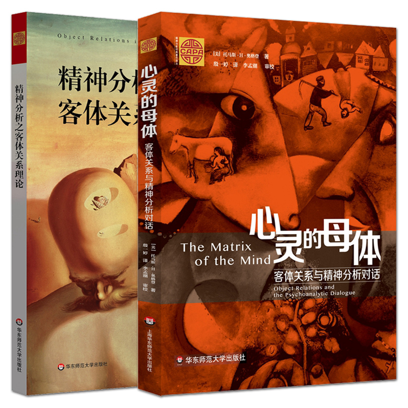 2册 精神分析之客体关系理论+心灵的母体：客体关系与精神分析对话 临床精神分析理论 心灵运作 克莱因 温尼科特 临床治疗理论