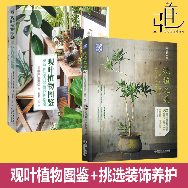 观叶植物图鉴 室内绿植养护指南+绿植之美 文艺感观叶植物挑选装饰养护 室内景观设计 花卉栽培盆栽 家庭园艺养花书籍家用装扮生活,书籍/杂志/报纸,养花书籍,淘宝优惠券,粉丝福利购,淘宝优惠卷