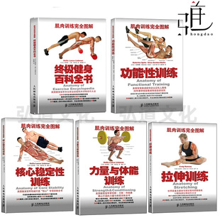 任选 肌肉训练完全图解 拉伸训练+核心稳定性训练+功能性训练+力量与体能训练+女性形体健美 运动损伤修复无器械健身教练书籍