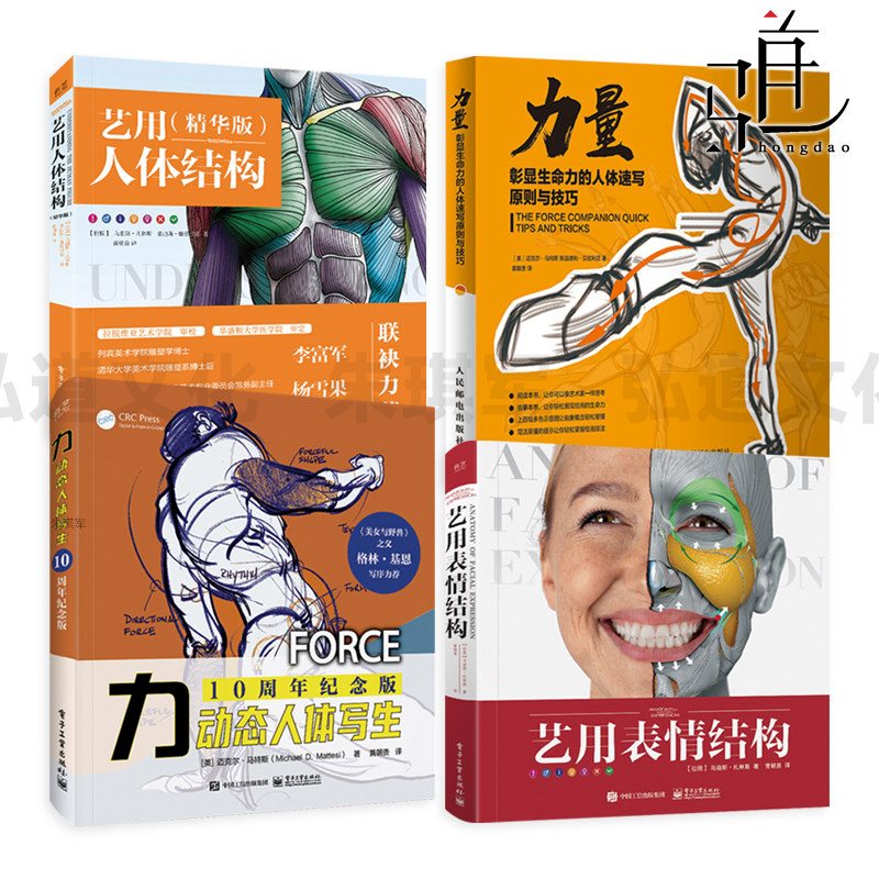 力-动态人体写生+力量-人体速写原则与技巧+艺用表情结构+艺用人体结构 迈克尔马特斯 /等著 素描物 绘画人体解剖 原画概念设计