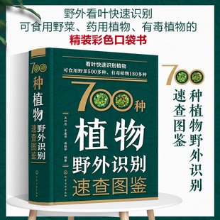 700种植物野外识别速查图鉴 药用植物 可食用野菜 王以忠 科普书籍 中草药 鉴别手册 有毒植物 知识百科 野外识别野菜口袋书 踏青