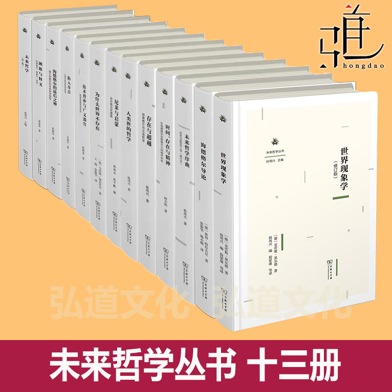 未来哲学丛书全套 13种 商务印书馆 孙周兴 未来哲学序曲尼采后形而上学  时间存在与精神海德格尔 黑格尔  存在与超越 汉语哲学