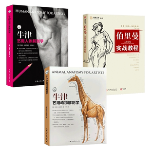 3册 牛津艺用人体解剖学+动物解剖学+伯里曼人体结构实战教程 构造透视构图 形态 美术教材书籍 绘画基础入门 人物素描速写临摹