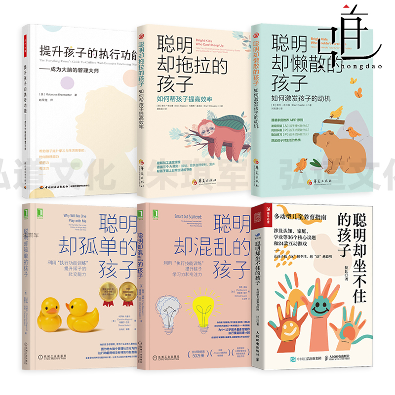 聪明却混乱的孩子+孤单+懒散+拖拉+聪明却坐不住的孩子-多动型儿童养育指南+提升孩子的执行功能 社交能力 学习力专注力 技能训练
