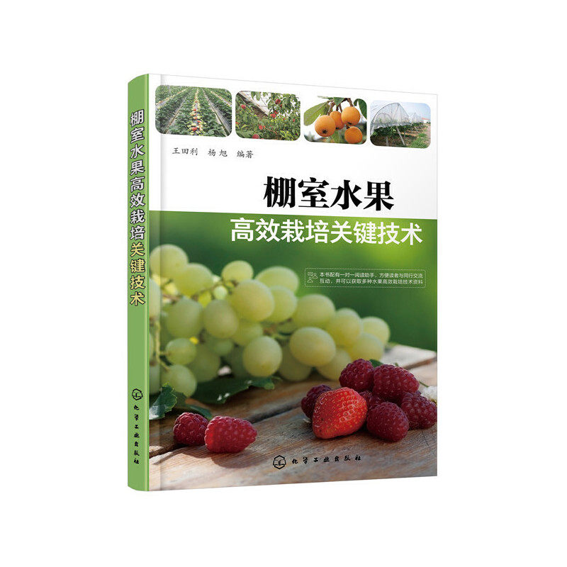 建造 大棚水果种植技术设施管理草莓桃李杏樱桃葡萄水果栽培注意事项