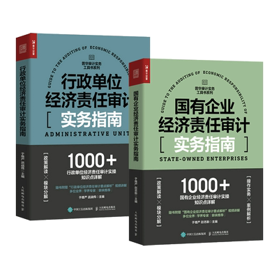 国有企业经济责任审计+行政单位