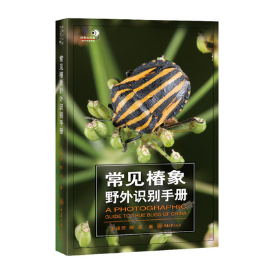 正版 常见椿象野外识别手册 王建赟 陈卓 收录我国的450种蝽 形态描述地理分布生活习性 昆虫知识 生态学专业人士的野外实用工具书