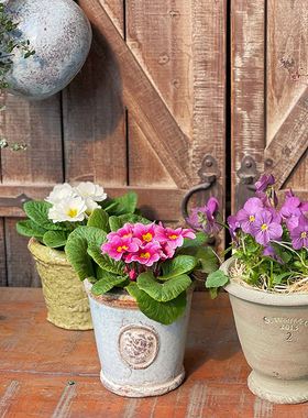 复古红陶麻花辫粗陶小奖杯彩釉盆器 单把壶小奶壶徽章多肉盆桌面