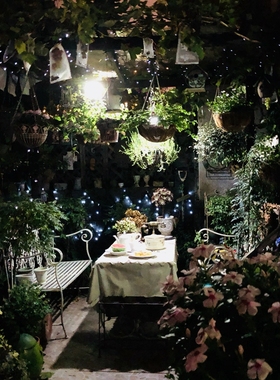 太阳能串灯 外贸出口 白光 暖黄 蓝光 彩光 多功能太阳能LED灯串