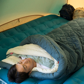 Coleman 露营 睡袋成人男户外大人加厚防寒多功能被子两用棉冬季