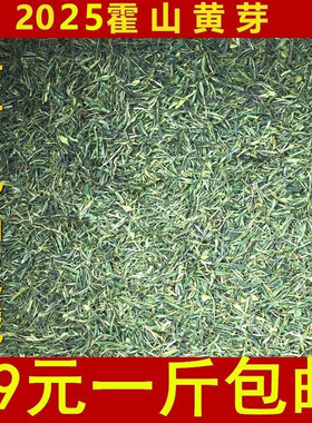 安徽2025年霍山黄芽新茶嫩芽春茶高山黄茶叶口粮即饮散装500g包邮