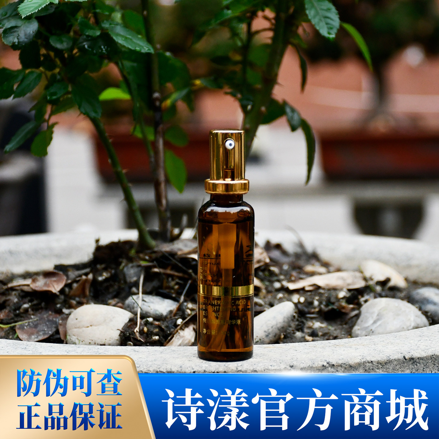 官方正品 诗漾 传明酸亮肤精华液30g 保湿滋润肌肤