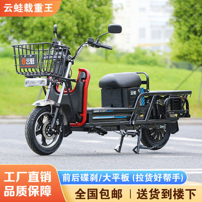 巨龙云蛙新国标载重王电动车