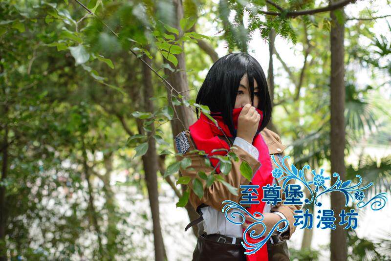 假发cosplay假毛进击的巨人-三笠阿克曼 黑色bobo头动漫内收短发