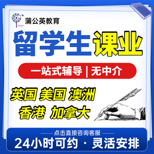 留学生英文essay金融经济统计Assignment美国澳洲香港Report咨询