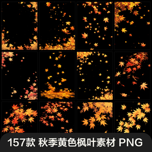 秋季飞舞枫叶动漫卡通光影漂浮氛围cos特效PNG免抠后期合成素材