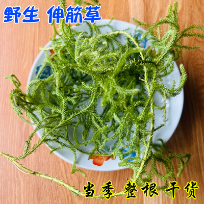 纯野生无硫伸筋草干货500g包邮