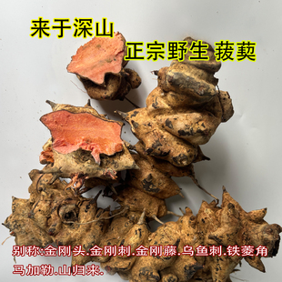 新鲜现挖野生菝葜金刚头金刚藤根铁菱角马甲头马加勒山归来中药材