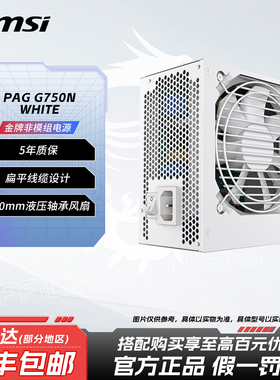 微星PAGG750W金牌非模组白色台式机电脑DIY主机电源搭配5060/5070