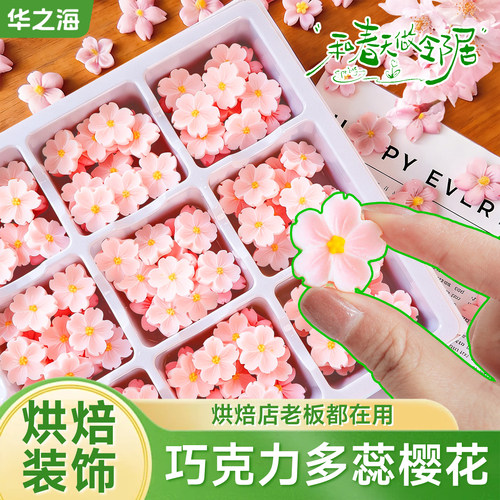 【春日热卖】巧克力多蕊樱花粉色