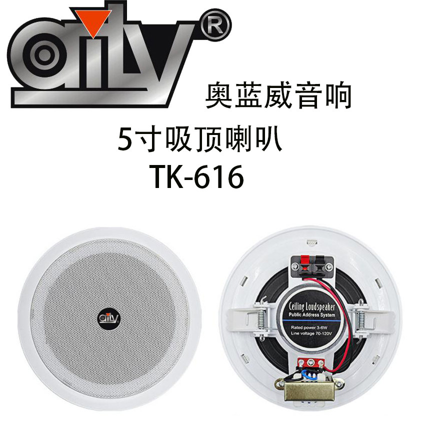 奥蓝威5寸吸顶音箱吊顶定制天花喇叭套装音响嵌入式音柱户外音柱