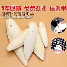 Vẹt đồ chơi Huyền Phong nhỏ mặt trời da hổ hoa mẫu đơn cắn răng hàm vuốt chim đồ chơi cung cấp thiết bị chim lồng phụ kiện - Chim & Chăm sóc chim Supplies 	cám cho chim chào mào non	