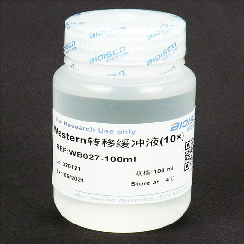 Western转移缓冲液 科研实验 配置溶液 试剂盒 高品质转移缓冲液