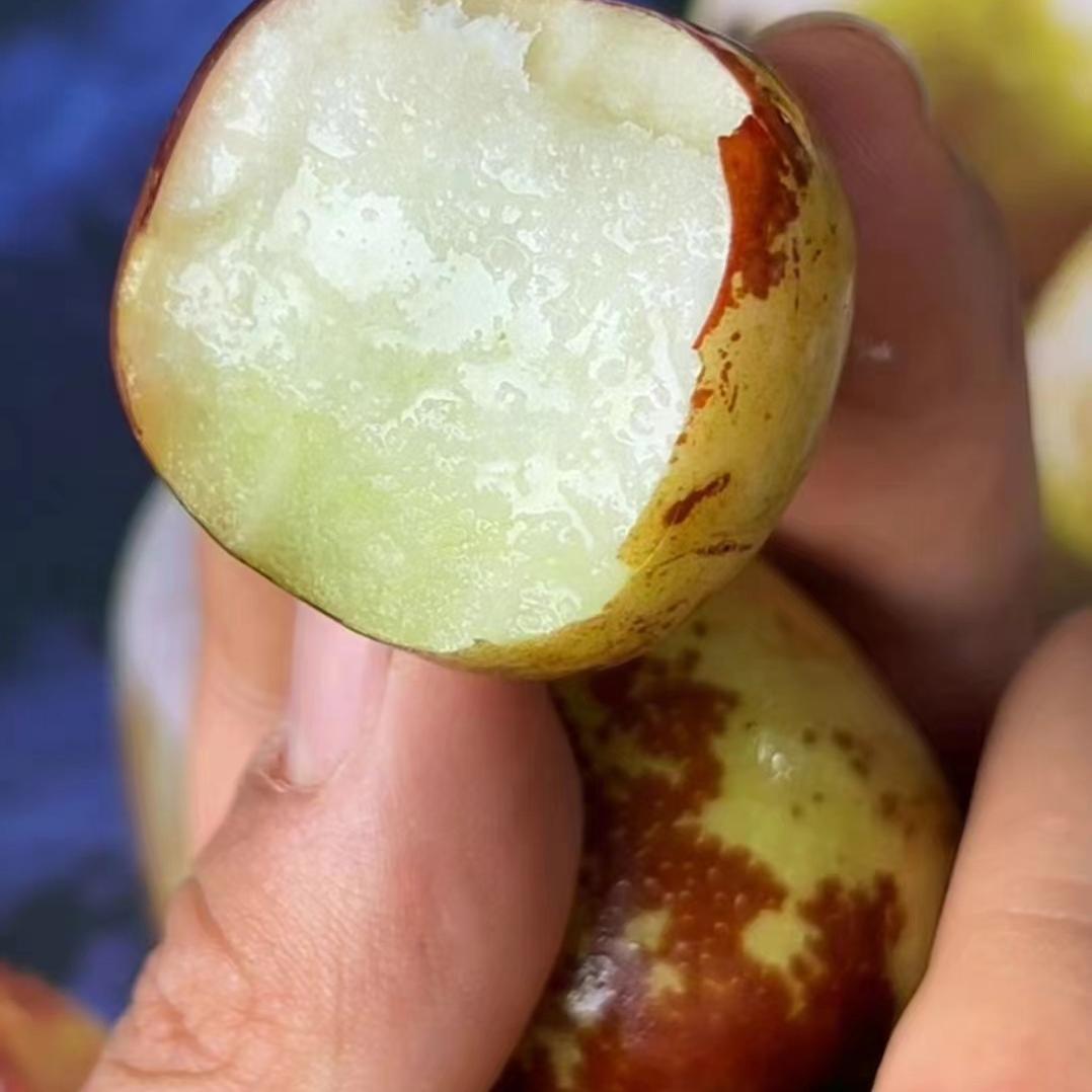 空运吉姆短枝二代脆甜冬枣2.9斤礼盒装当季新鲜水果礼盒装顺丰