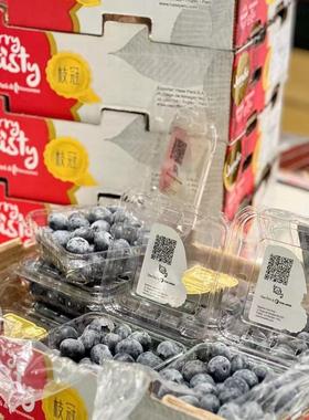 现货秘鲁金标枝冠脆甜蓝莓孕妇新鲜水果口感脆甜12盒每盒125gSF