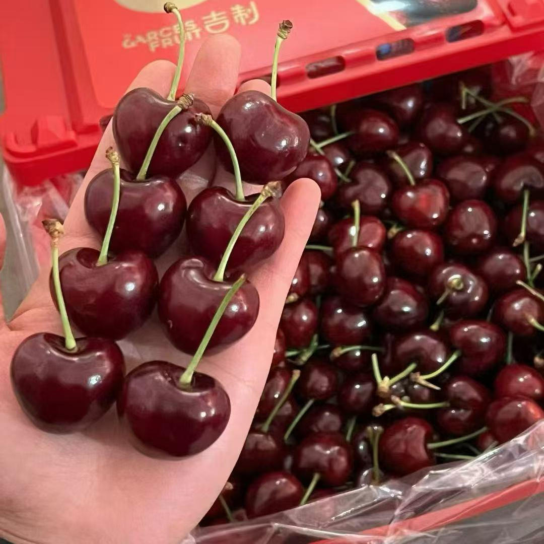 车厘子吉制小红盒礼盒车厘子