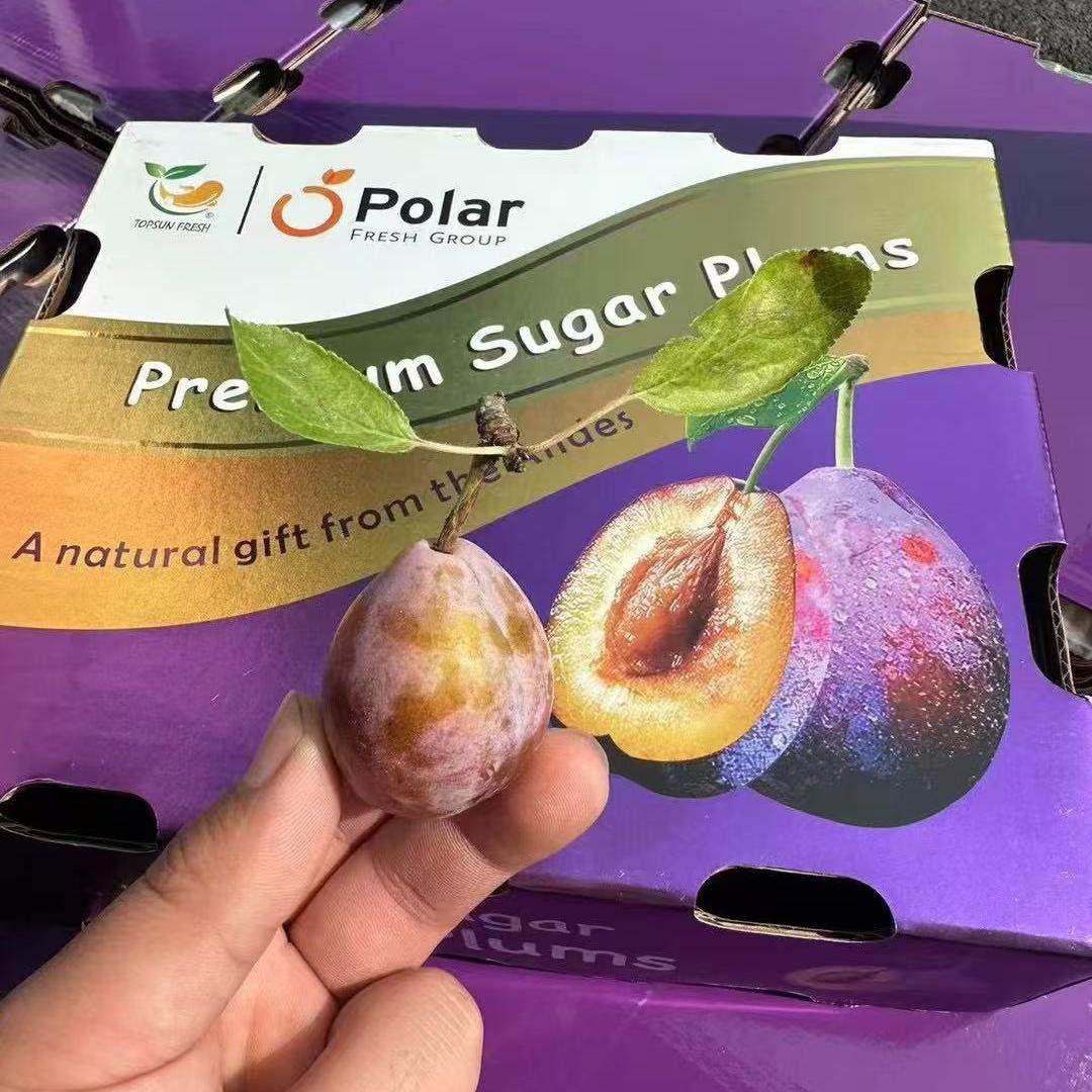 最新到货澳洲进口法兰西西梅当季新鲜现摘孕妇水果礼盒顺丰包邮