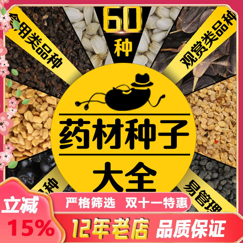 中药材种子大全春季夏枯草桔梗白术丹参甘草荆芥板蓝根黄芪籽种孑
