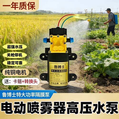 大功率电动喷雾器高压泵12v电机马达配件大全通用双核喷药机水泵