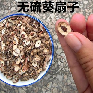 切片野生葵扇子 葵扇籽 葵树籽 葵树子片 蒲扇子蒲葵子500克包邮