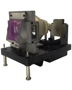 适用丽讯投影仪原装投影灯泡 适配机器型号丽讯D8800,D8900,D8010W