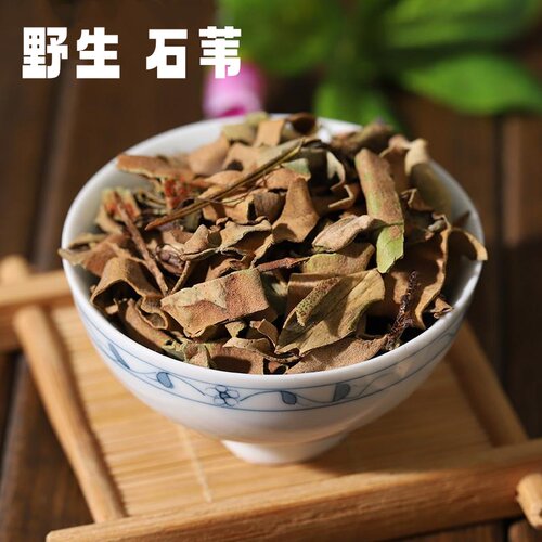 石苇中药材石韦石伟别名石伟