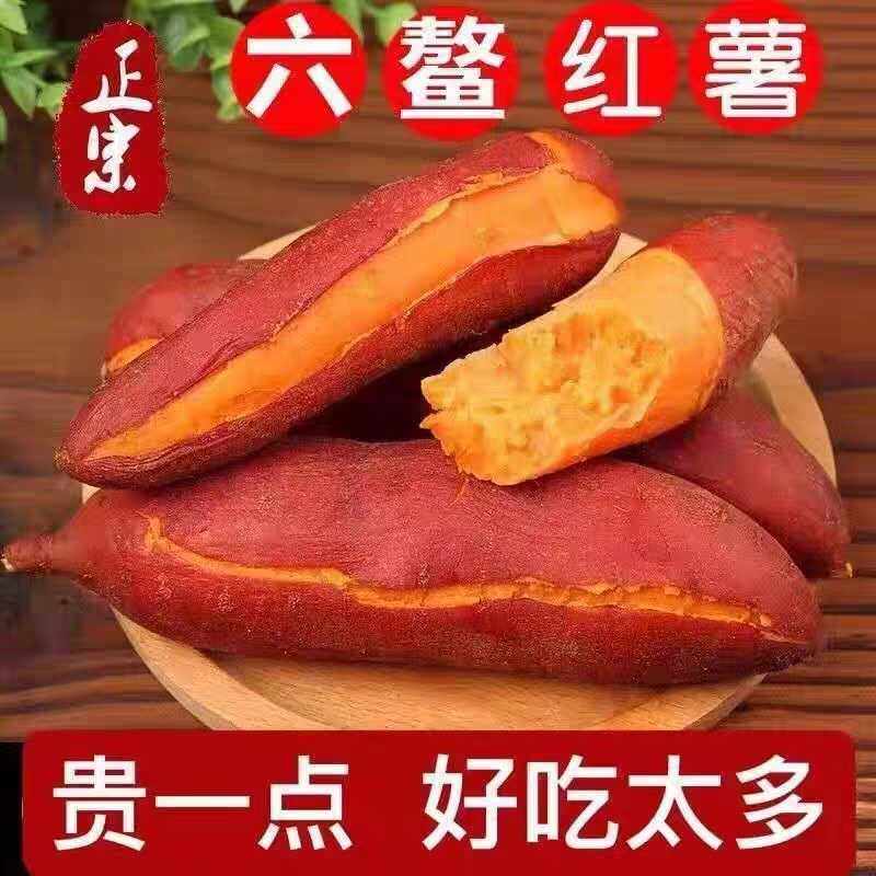 自家种植漳州漳浦六鳌地瓜沙地红心蜜薯新鲜番薯正宗产地直发