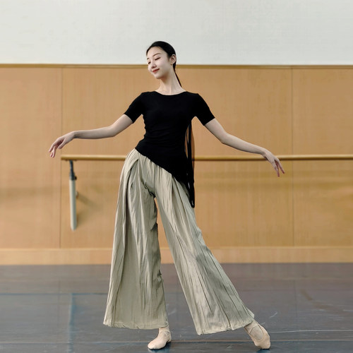 宸迪现代舞短袖练功服