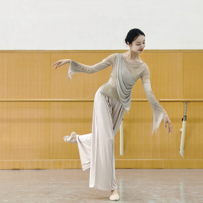 渐变古典舞纱衣身韵舞蹈练功服中国舞艺考上衣民族舞修身演出服女